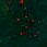 Blood Stone