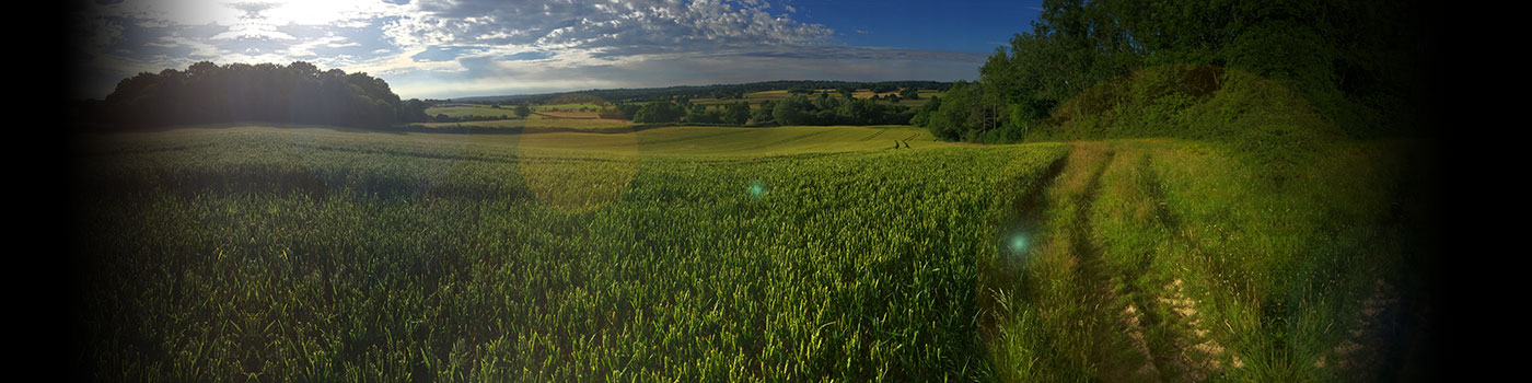 Dexter Rings Workshop in the Rural Kent Countryside